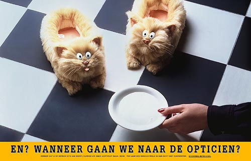 Katten ?
